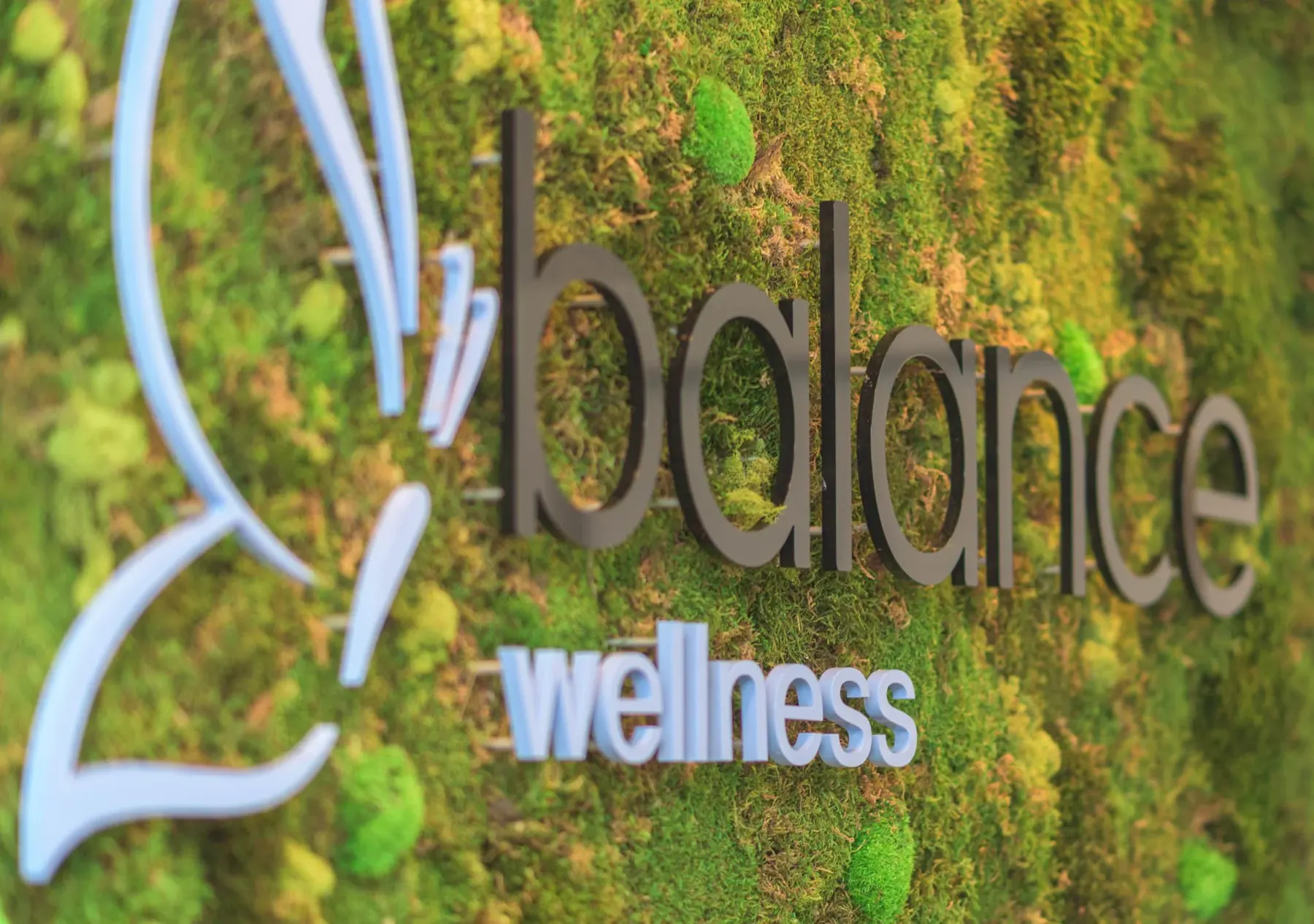 The Balance logo on the living moss wall